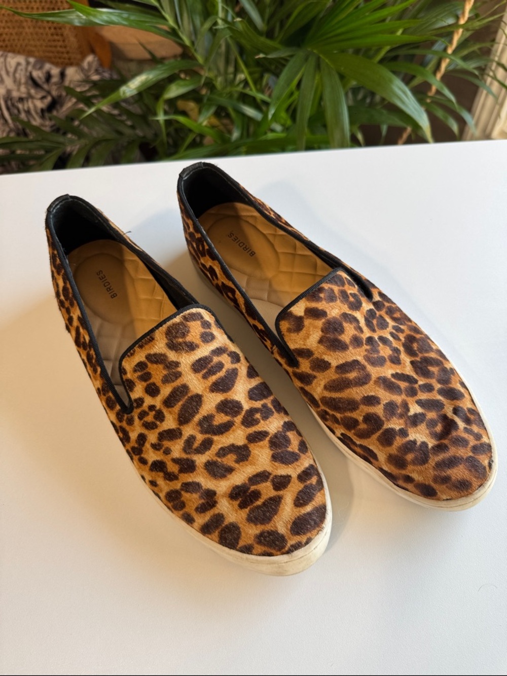 Birdies Leopard-Print Slip-On Loafers - Brown and Black